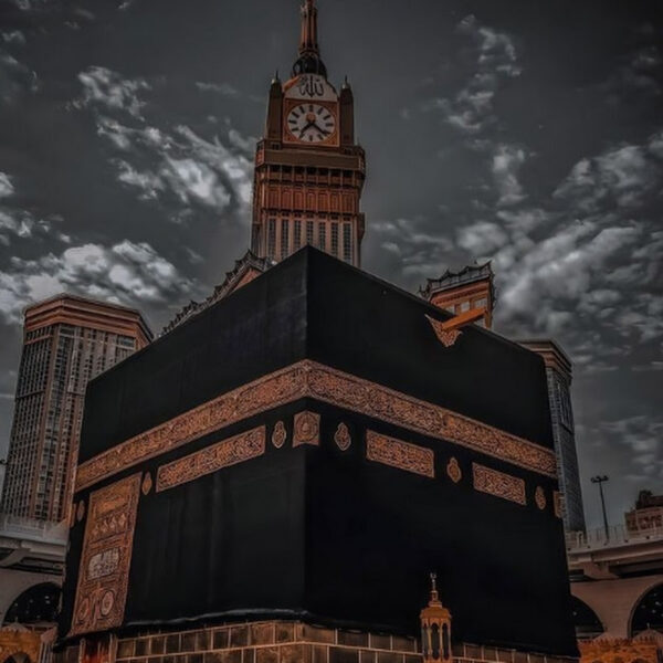 Pukhtoon Khan  -  11800 — subscribers