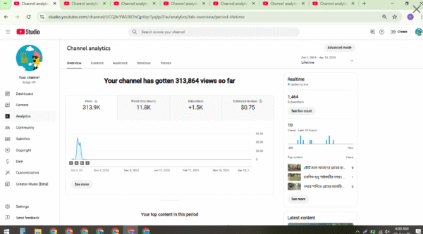 Golapi API - Monetized  -  1460 : subscribers - Image 4