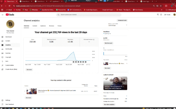 The Wise Wallet - Monetized  -  2440 : subscribers - Image 3