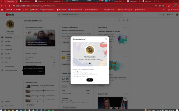 The Wise Wallet - Monetized  -  2440 : subscribers - Image 4